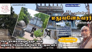 இங்க போனா மறுபிறவி கிடையாது thiruvarurThiruvarur TempleNannilam kovilnannilamMadhuvaneswarar [upl. by Kammerer]