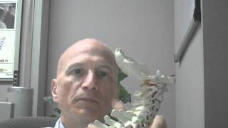 Does Chiropractic Cure Dowagers Hump Asks Dr Joe Charleston Spine and Disc [upl. by Edecrem595]