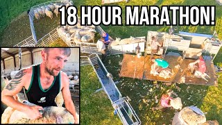 18HOUR GRIND  DAY IN THE LIFE OF AN IRISH SHEARING GANG [upl. by Serg961]