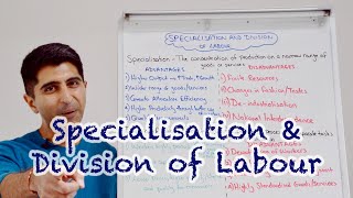 Y1 39 Specialisation and the Division of Labour [upl. by Orva]