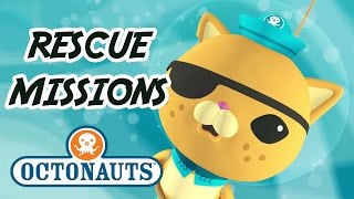 Octonauts  Kwazii to the Rescue  Action Packed Sea Adventures [upl. by Four]