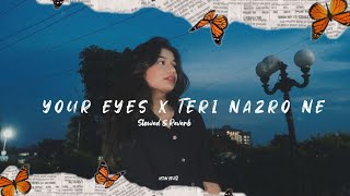 Barney Sku  Your eyes got my heart falling for you × Teri nazro ne Slowed amp Reverb [upl. by Alleciram337]