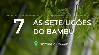 As sete lições do bambu [upl. by Anahgem]