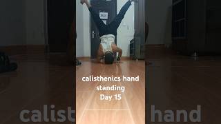 calisthenics hand standing Day 15 [upl. by Nnylyahs]