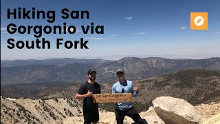 Hiking San Gorgonio via South Fork [upl. by Juta393]