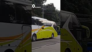 Sagay City Bus Spotting  October 24  Teaser fyp busenthusiast philippines buses busspotting [upl. by Adnoryt]