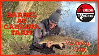 Weekly Vlog  Catching Barbel at Cabalva Farm [upl. by Sullivan]