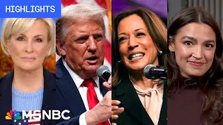 Countdown to the 2024 election Day 4  MSNBC Highlights [upl. by Einnok]