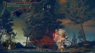 Elden Ring Solo Boss Fight DLC  Ralva The Great Red Bear No commentary [upl. by Shriver]