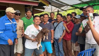 FLOKI JUNIOR DARI KALIMANTAN TIMUR ‼️ SEMUA ORANG HERAN LIHAT KEPINTARANNYA [upl. by Ennoid]