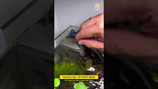 Corner Filter For Designer Aquascaping Aquarium viralshorts shorts trending viral fishtank [upl. by Enyal211]