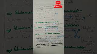 shorts biology transamination mechanism neet competitionwallah bio 🌎 [upl. by Kirkpatrick]