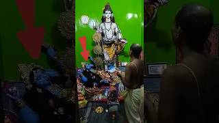 মা কালীর উল্টো মূর্তি কেনো পূজিত হয় kali maakali mahakal shiv [upl. by Popelka]