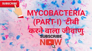 Mycobacteria ।। Mycobacterium tuberculosis Partl in hindi [upl. by Naillig]