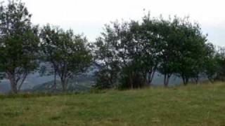 Passo del Rastrello  Monumento ai Caduti delle Brigate partigiane per la Resistenza [upl. by Yerhcaz635]