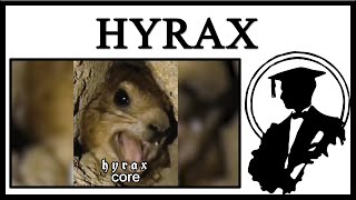 Hyraxes Are Cool [upl. by Meedan262]