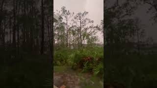 Hurricane Ian Final Update from Ormond Beach FL [upl. by Zebedee800]