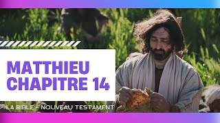 Matthieu chapitre 14  La Bible  Nouveau Testament [upl. by Notserk338]