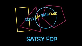 BrieAnna’s Guide to Satsy FDP SATs [upl. by Riha]