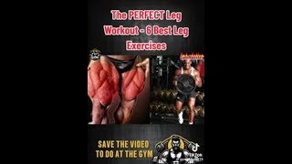 The 6 BEST Leg Exercises quotEasy amp Instant Resultsquot Watch amp save for the gym later [upl. by Ekal651]