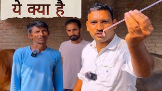 क्या आप भी Repeater पशुओं से परेशान है  तो ये video जरूर देखें  Repeater Animal Treatment video [upl. by Audres]