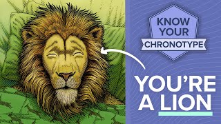 The truth about the Lion chronotype [upl. by Annaesor665]