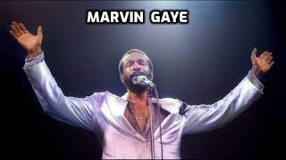 MARVIN GAYE  I WANT YOU [upl. by Flossy]