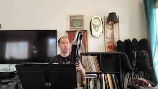 Contrabassoon Etude from Lesson 9 in Seltmann Vol 6 by Victor Bruns [upl. by Ynabe670]