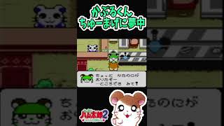 とっとこハム太郎２：かぶるくん、ちゅーまげに夢中【GBCレトロゲーム】Tottoko Hamtaro2 [upl. by Marc327]