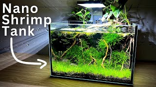 How To Make No filter Nano Shrimp Tank  Stepbystep tutorial [upl. by Ytissac557]