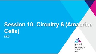 Session 10  Circuitry 6 Amacrine Cells [upl. by Christina]