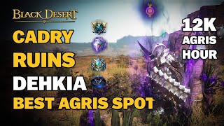 BDO  Best Agris Spot Ever  Cadry Ruins Dehkia  TipsampTricks  Everything You Need to Know  Guide [upl. by Eseneg]