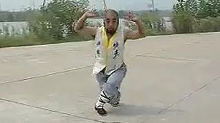 Shaolin Kung Fu Combat Styles 16 big Buddha form 大罗汉拳 da luohan quan [upl. by Ydne]