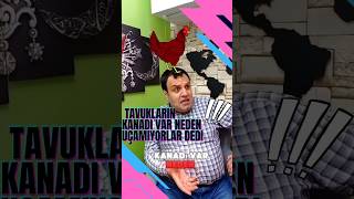 Tavukların kanatları var neden uçamıyorlar dedi quotkomikvideolarquot komedı [upl. by Yeargain]