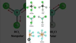 Polar amp Nonpolar bondphysicswallah chemical shorts shortsviral [upl. by Malkin138]