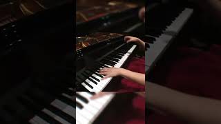 Liszt Totentanz w Valentina Lisitsa 22 [upl. by Esinal]