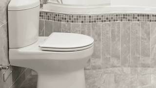 Origami Toilet Dual Top Flush Toilet Suite BE1WH408 [upl. by Horne]