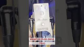 Wampler Plexi Drive Pedal Demo Tele [upl. by Swain712]