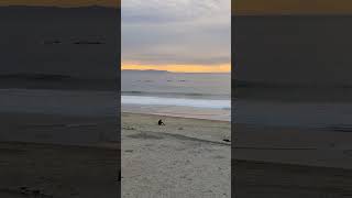 Manhattan Beach Pier Sunset [upl. by Weinstein]