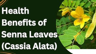 Health Benefits of Senna Leaves Cassia Alata [upl. by Nannie]