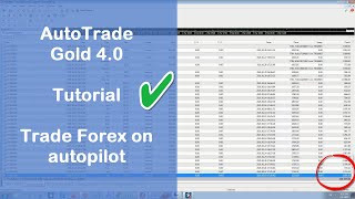 PantheraTrade and autotrade gold 4 0 tutorial [upl. by Gerrit889]