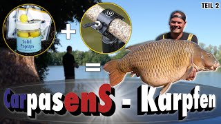 💣🎣 Karpfen bis 33 Kilo am Carpasens Taktik Technik Futter amp Tricks  das XXL Format  Teil 2 [upl. by Northway]