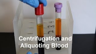 Centrifugation and Aliquoting of Blood Serum and Plasma [upl. by Aenotna354]