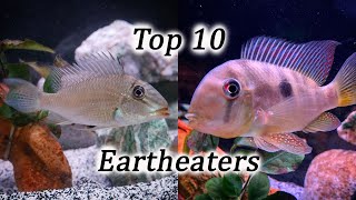 Top 10 Eartheater Species  Geophagus Gymnogeophagus Satanoperca [upl. by Thissa904]