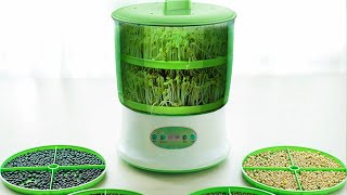 Automatic Bean Sprout Machine 2020 [upl. by Sitnerp]