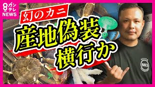 【幻のカニ 産地偽装事件】「町ぐるみの偽装だった」との証言も「幻のカニ」と名高い「間人ガニ」産地偽装事件「他の会社でも産地偽装が横行してきた」と漁業関係者 証拠動画を独自入手〈カンテレNEWS〉 [upl. by Rdnaskela]