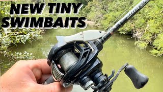 SLAYING With NEW BFS Baits 1st Use amp REVIEW Fort Worth BFS Angling [upl. by Euphemie]