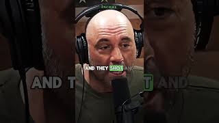 Hunters vs Wolf Pack 🐺⚡️joerogan story interesting viral facts explore shorts [upl. by Ettenna]