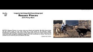 Pitzer Ranch Spring Sale 2024 Lot 87 REESES PIECES [upl. by Carisa]