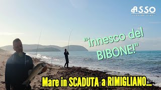 Surfcasting Mare in Scaduta su Spiaggia Profonda Rimigliano [upl. by Vanya]